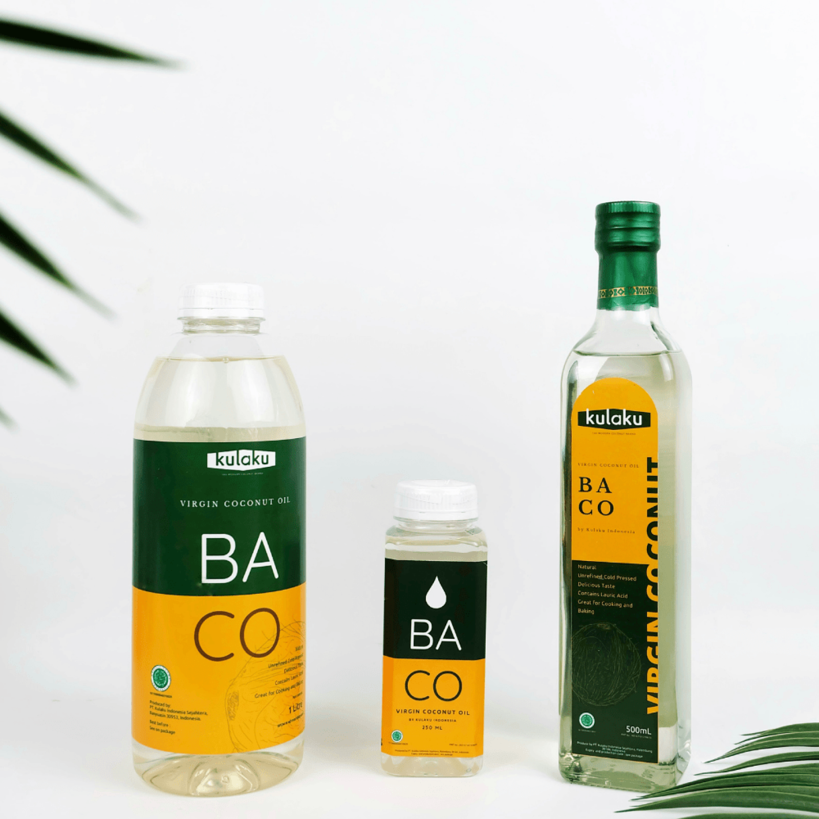 Manfaat dan Cara Membuat Minyak Virgin Coconut Oil (VCO)